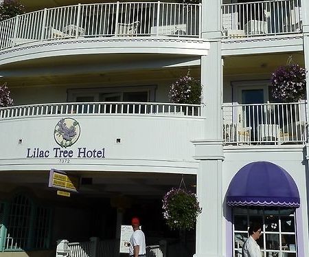 Lilac Tree Suites 麦基诺岛 外观 照片